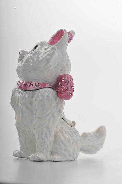 White and Pink Cat