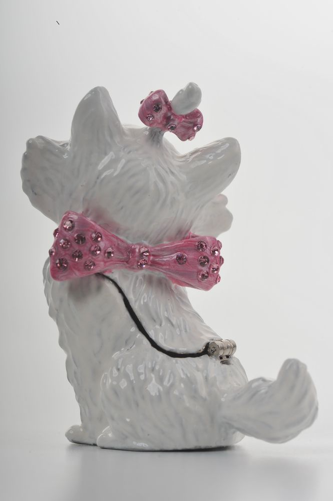 White and Pink Cat