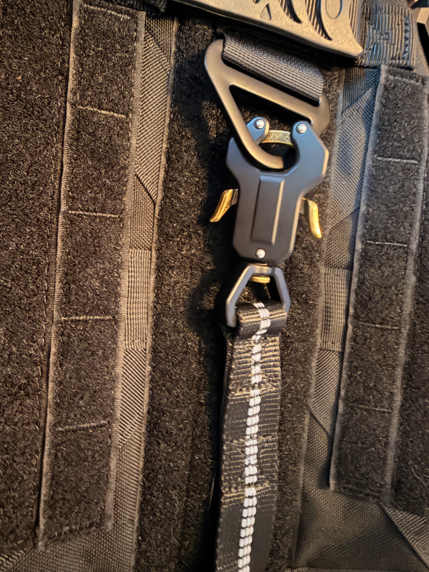 Heavy Duty Quick-Release Bungee Leash (Absorbs Pulls)