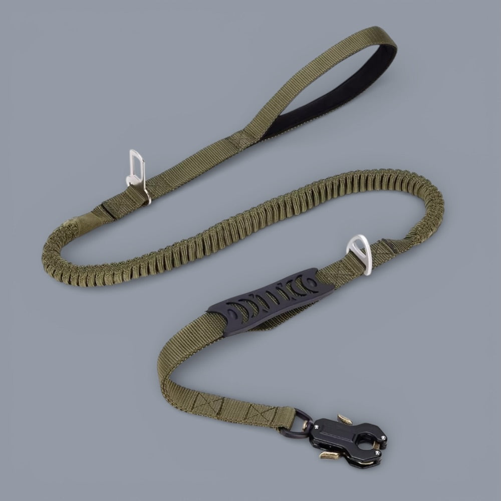 Heavy Duty Quick-Release Bungee Leash (Absorbs Pulls)