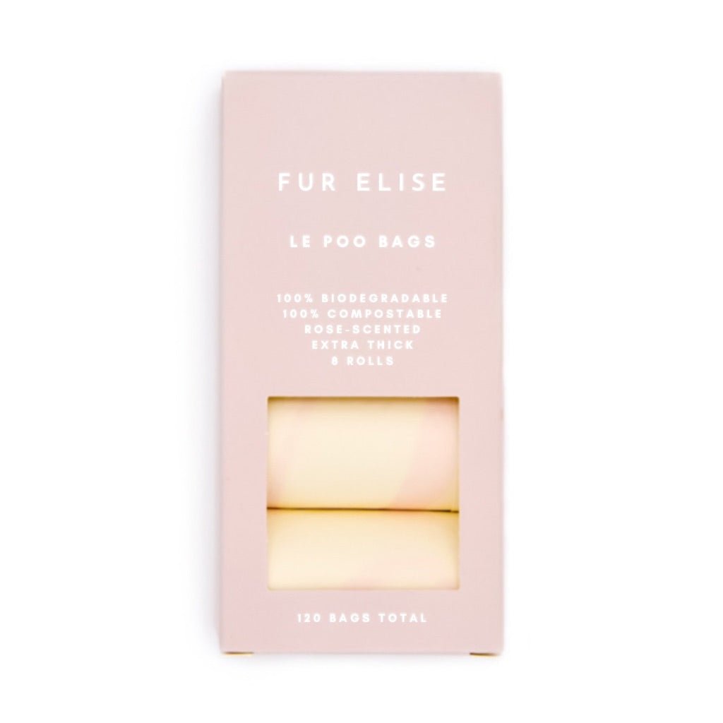 The Ultimate Walk Set - Noir