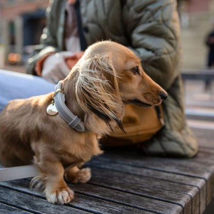 Collar - Vegan Leather - London