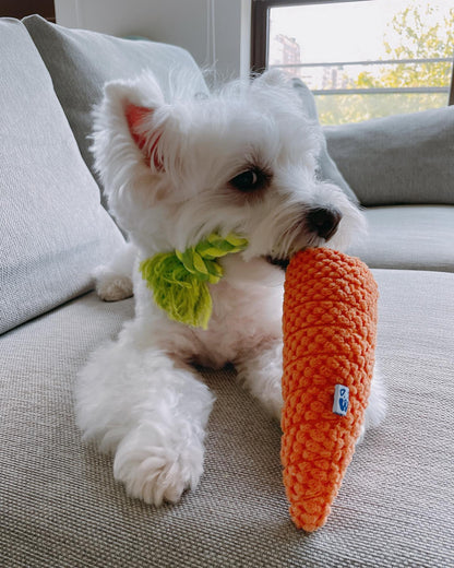 Carrot