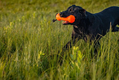 Barrows Training Bumper Pack - Orange