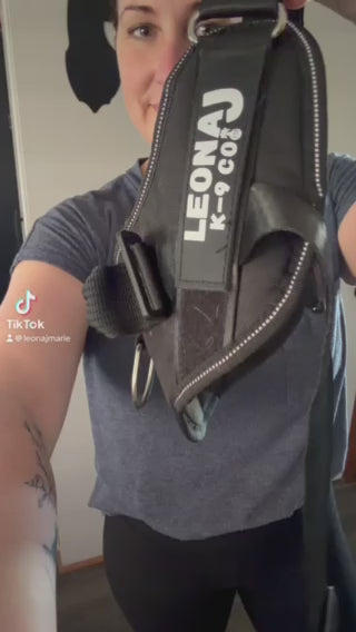 Easy On, No-Pull Dog Harness