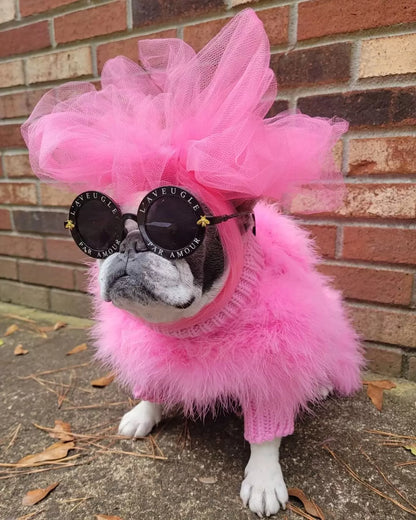 Haute Couture Feathered Luxury Pet Sweater