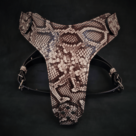 The ''Rock Python'' Dog Harness