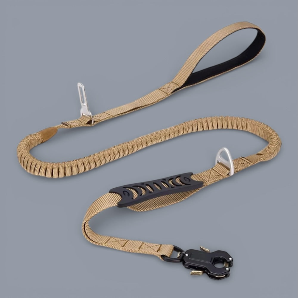 Heavy Duty Quick-Release Bungee Leash (Absorbs Pulls)