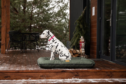 Chester & Lee | Waterproof Lounger Dog Bed Green